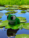 Bild in Galerie-Betrachter laden, Flexi Frosch 🐸
