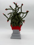 Bild in Galerie-Betrachter laden, Einzigartige 3D-gedruckte Medusa-Skulptur mit beweglichen Schlangen
